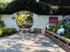 -上海醉白池公园