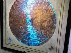 -上海昆虫博物馆