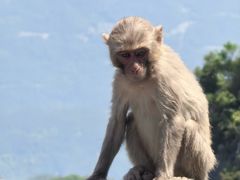 -重庆云阳龙缸景区