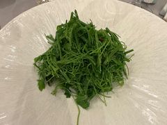 -阿纳迪酒店·悦餐厅