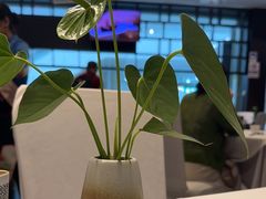 -眉州东坡(华联万柳店)