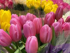 -双季花艺园艺市场(浦东店)