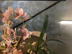 -施奈儿.洗头頭療.按摩SPA.采耳(上梅林店)