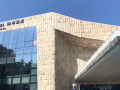 -深圳东部华侨城瀑布酒店
