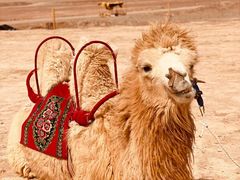 -火焰山景区(火焰山镇)