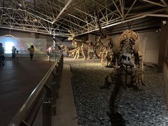 -世界恐龙谷景区