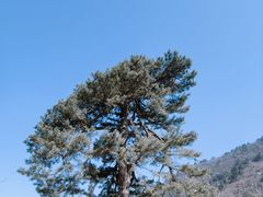 -秦岭终南山世界地质公园翠华山景区