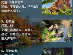 -崇圣寺三塔文化旅游区