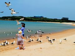 -海驴岛(荣成市)