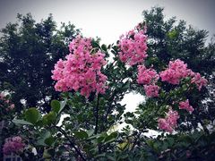 -唐城墙遗址公园