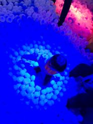 -幻贝家儿童乐园(苏州中心店)