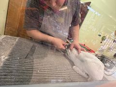 -宠物兔专门店(天丰利市场店)