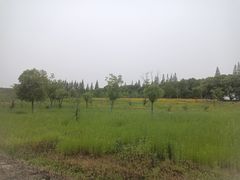 -同里国家湿地公园