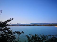 -广州市流溪河国家森林公园