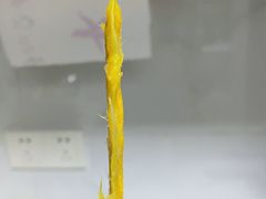 -鲜力达果品批发直销(无锡保利香槟店)