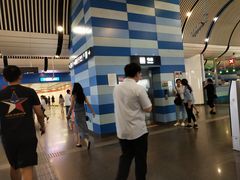 -大望路(地铁站)