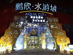 -鹏欣水游城