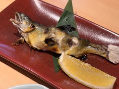 -和樂日本料理