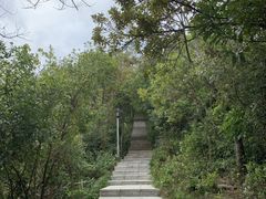 -小南山公园