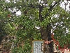 -水峪民俗村