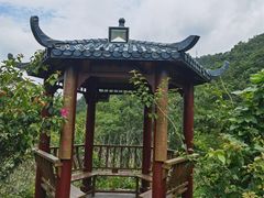 -广东天露山旅游度假区