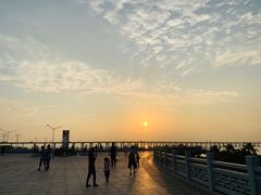 -宝安西湾红树林湿地公园