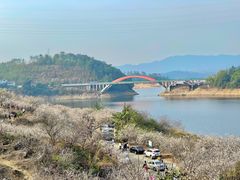 -广州市流溪河国家森林公园