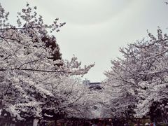 -南京林业大学-图书馆