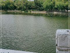 -长春市南湖公园