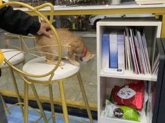 -博特宠物医院24h犬猫全科.骨科·异宠