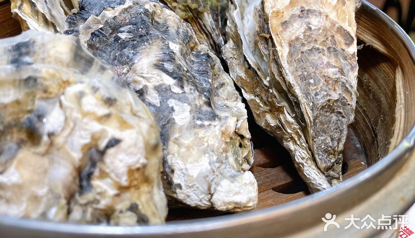 长沙| 镇店之宝 清蒸生蚝