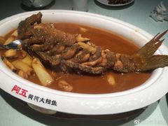 -阿五黄河大鲤鱼(英协路店)