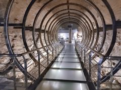 -乐山乌木文化博览苑