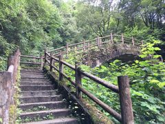 -西岭雪山大飞水景区
