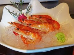 -黑松白鹿(金融街店)