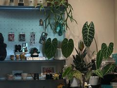 -Dogi&kiki Coffee(中心商务大厦店)