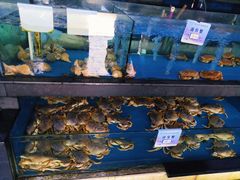 -马王堆海鲜水产市场