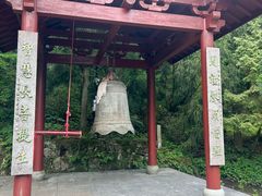 -天目山大树王景区