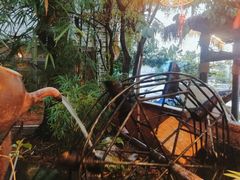 -园林美食城·本土农家菜(杨和镇店)