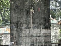 -南海神庙