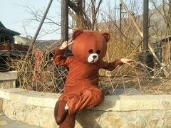 -疯克大象美式烤肉餐厅