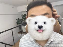 -babiline芭比莱恩半永久纹眉纹唇发际线