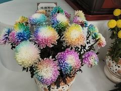 -陶然亭公园