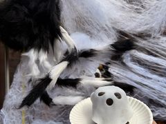 -丽驰手作(悦荟广场店)