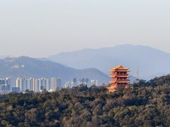 -梵天禅寺