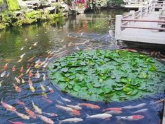 -桃园盛宴·岭南粤菜·手工茶点(南庄店)