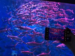 -成都浩海立方海洋公园