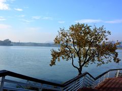 -贡湖湾湿地公园