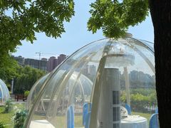 -西安汉城湖景区