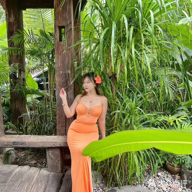 🌴l西双版纳🍃一秒穿越热带雨林
